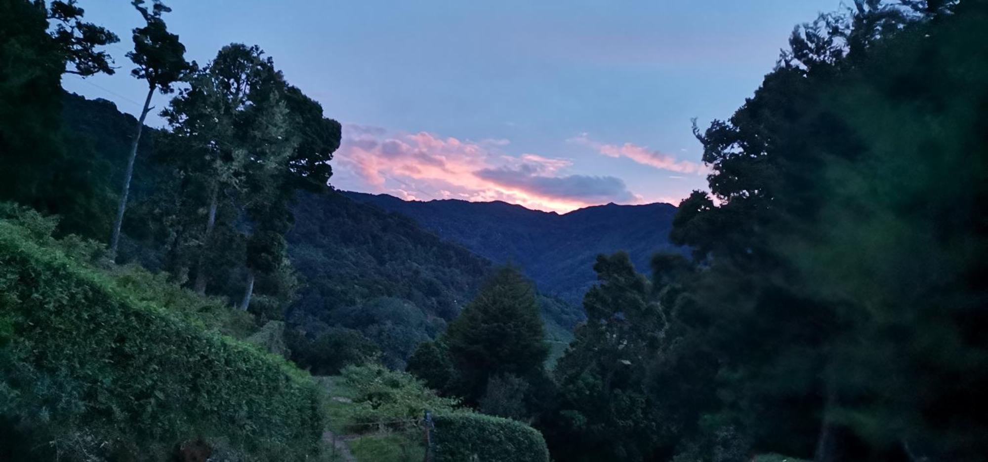 Готель Glamping Jaulares Mountain Rivas Номер фото